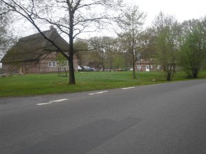 Buchholz 2010 098
